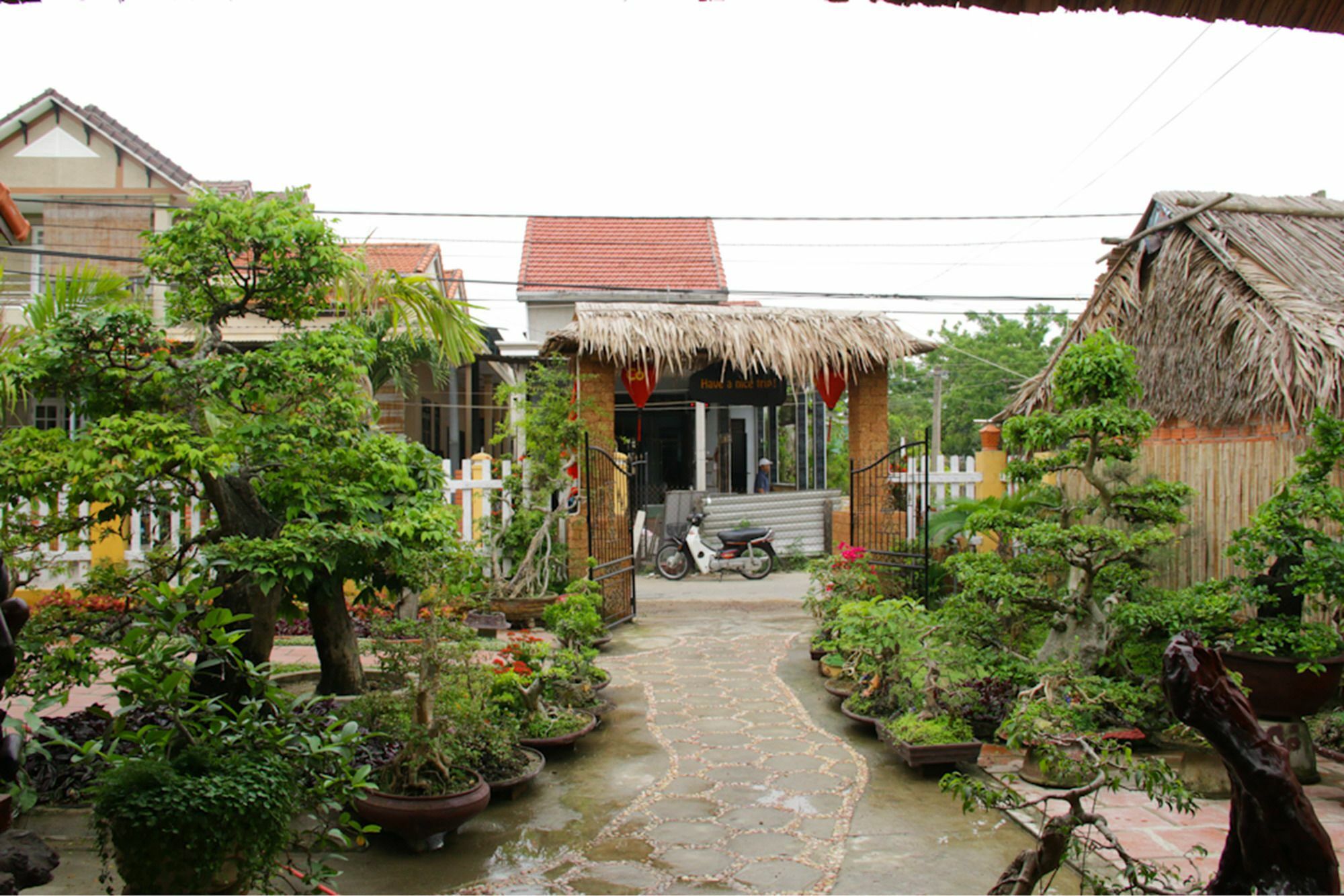The Grass Vy Leilighet Hoi An Eksteriør bilde